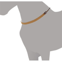 PECHOPETRAL INGLES LEXHIS ELASTICO PARA CUELLO