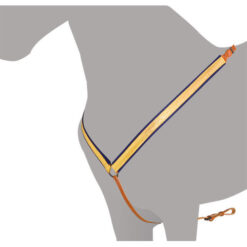 PECHOPETRAL ALTA ESCUELA MEHIS