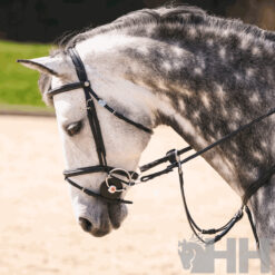 FILETE SPRENGER NATHE ELEVADOR ANILLA 70mm