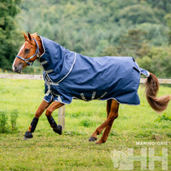 MANTA AMIGO 1200D PLUS CON CUBRECUELLO EXTERIOR MEDIUM (250g)