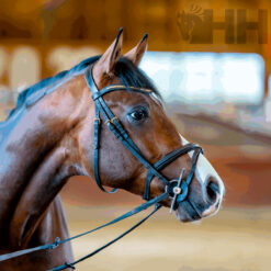 FILETE SPRENGER NATHE PALILLOS ANILLA 55mm