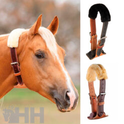 COLLAR AIRE PROFESSIONAL'S CHOICE DARE