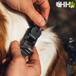 COLLAR RUFFWEAR PARA PERROS RIDGELINE