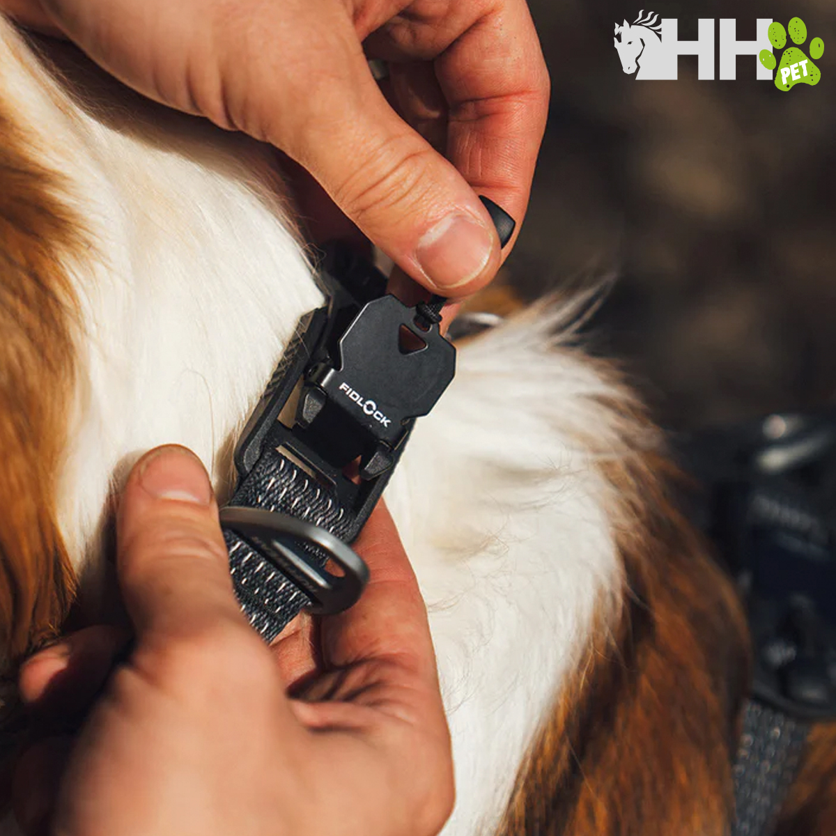 COLLAR RUFFWEAR PARA PERROS RIDGELINE