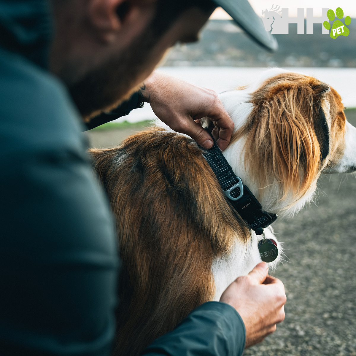 COLLAR RUFFWEAR PARA PERROS RIDGELINE - Imagen 5