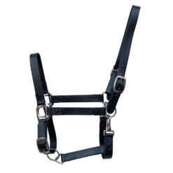 CABEZADA CUADRA BIOTANE AZBT