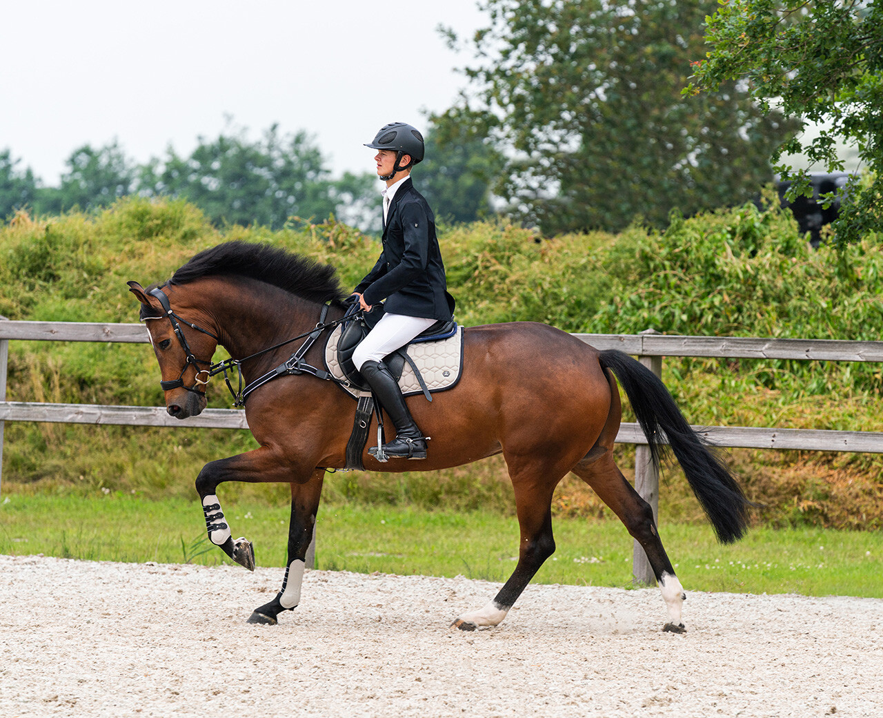 CHAQUETA COMPETICION QHP VIC CABALLERO - Imagen 15