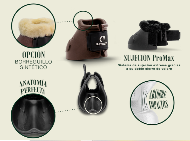 CAMPANA GATUSOS ROYAL - Imagen 2
