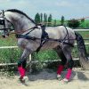 Enganche Hungara Senc. Pecherin