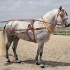 Enganche Inglesa Sencillo Collarin