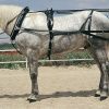 ENGANCHE -EXTRA- HUNGARA DOBLE