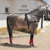 Enganche Troton Cuero Negro