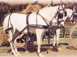 Enganche Hungara T-605 Tronco
