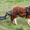 Enganche Hungara Pony