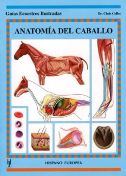 Libro: Guia. Anatomia Del Caballo
