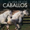 Libro: La Vida De Los Caballos (Blume)