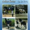 DVD: A. KOTTAS Nº1 EL CABALLO A LA CUERDA