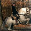 DVD: LOS CABALLOS DE ALVARO DOMEQ (DOMA Y EQUITACION)