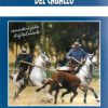 DVD: ACOSO Y DERRIBO 2