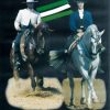 DVD: CAMPEONATO DE ANDALUCIA DE D. VAQUERA