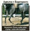 DVD: EQUITACION ESPAÑA AMPLITUD Y REMETIMIENTO