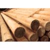 BARRA OBSTACULO MADERA TRATADA 350x9 CM