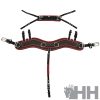 PECHOPETRAL ENGANCHE LEXHIS HANOVER ANATÓMICO SENCILLO (JUEGO COMPLETO)