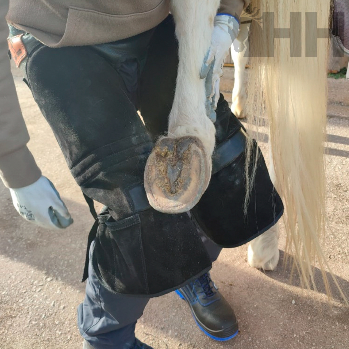 DELANTAL HERRADOR HISPANO FARRIER CON TOPES ANTIDESLIZANTES MOD LIGERO - Imagen 3