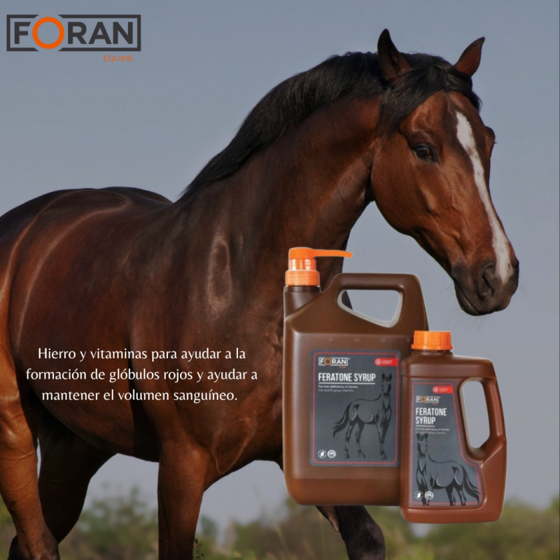 FORAN SUPLEMENTO HIERRO FERATONE 1L - Imagen 2
