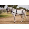 ENGANCHE HH KEIFFER COLLARIN SENCILLO