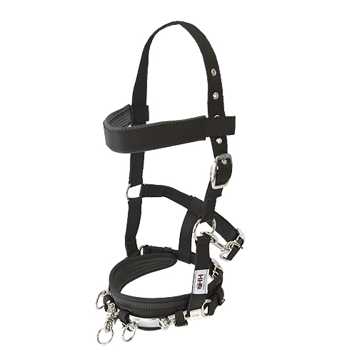 CABEZADA SERRETA INGLESA HH NYLON
