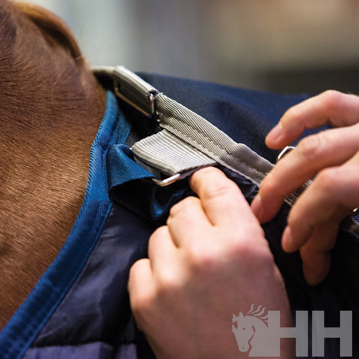 MANTA HORSEWARE BAJOMANTA LINER (300g) - Imagen 2