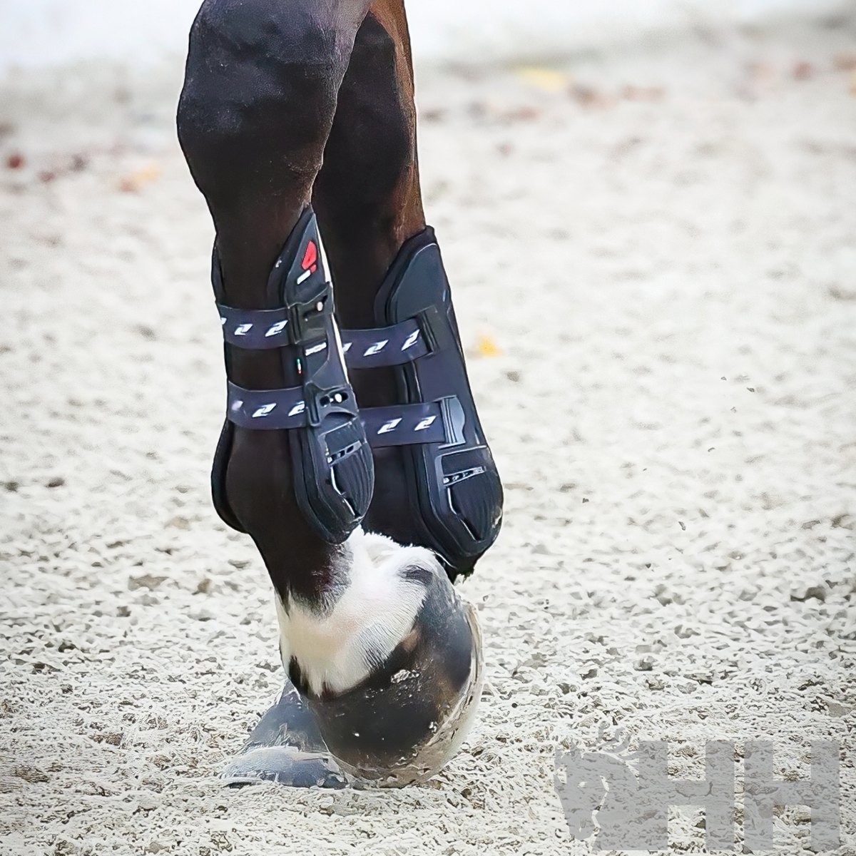 PROTECTOR ZANDONÀ CARBON PRO TENDON (PAR) - Imagen 3