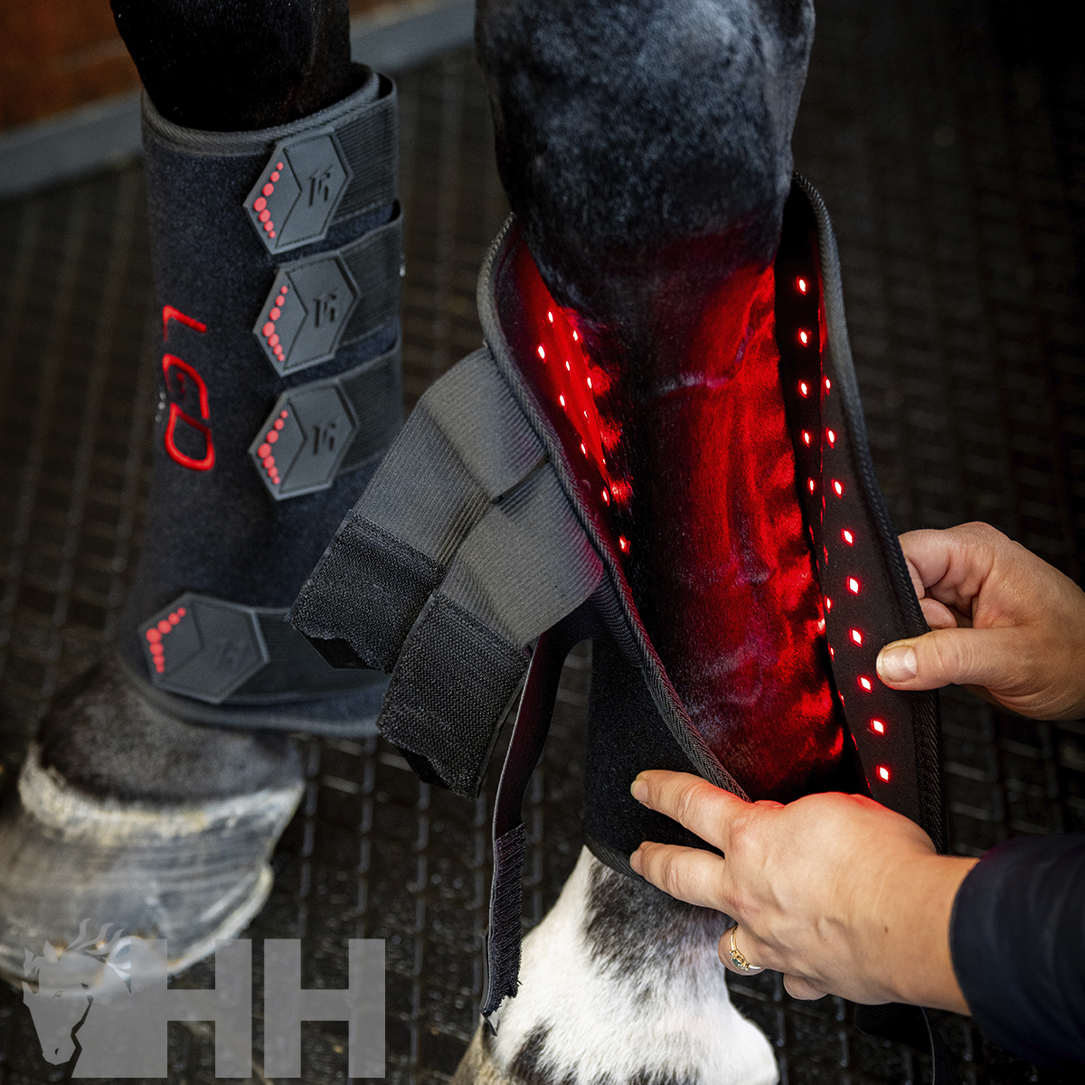 VENDA TERAPEUTICA HORSEWARE LED RED LIGHT - Imagen 5