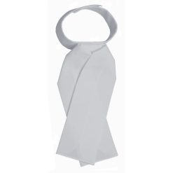 PLASTRON