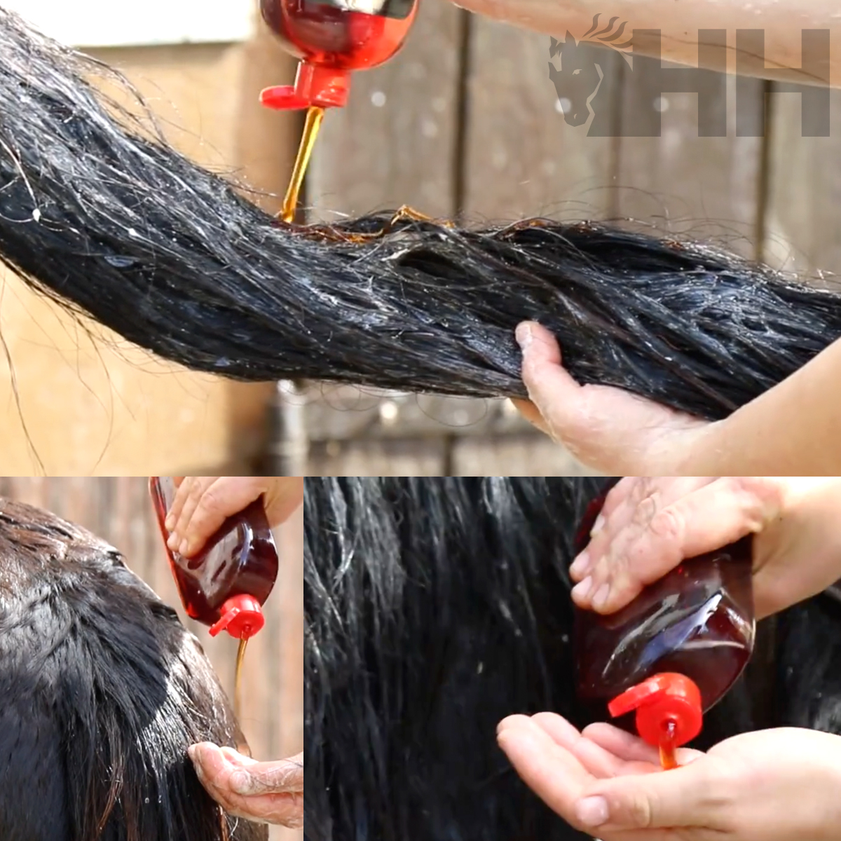 CHAMPU LEOVET POWER PARA CABALLOS DE CAPA OSCURA - Imagen 4