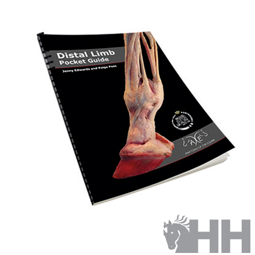 LIBRO GUIA VISUAL EXTREMIDADES Y CASCO DEL CABALLO (INGLES)