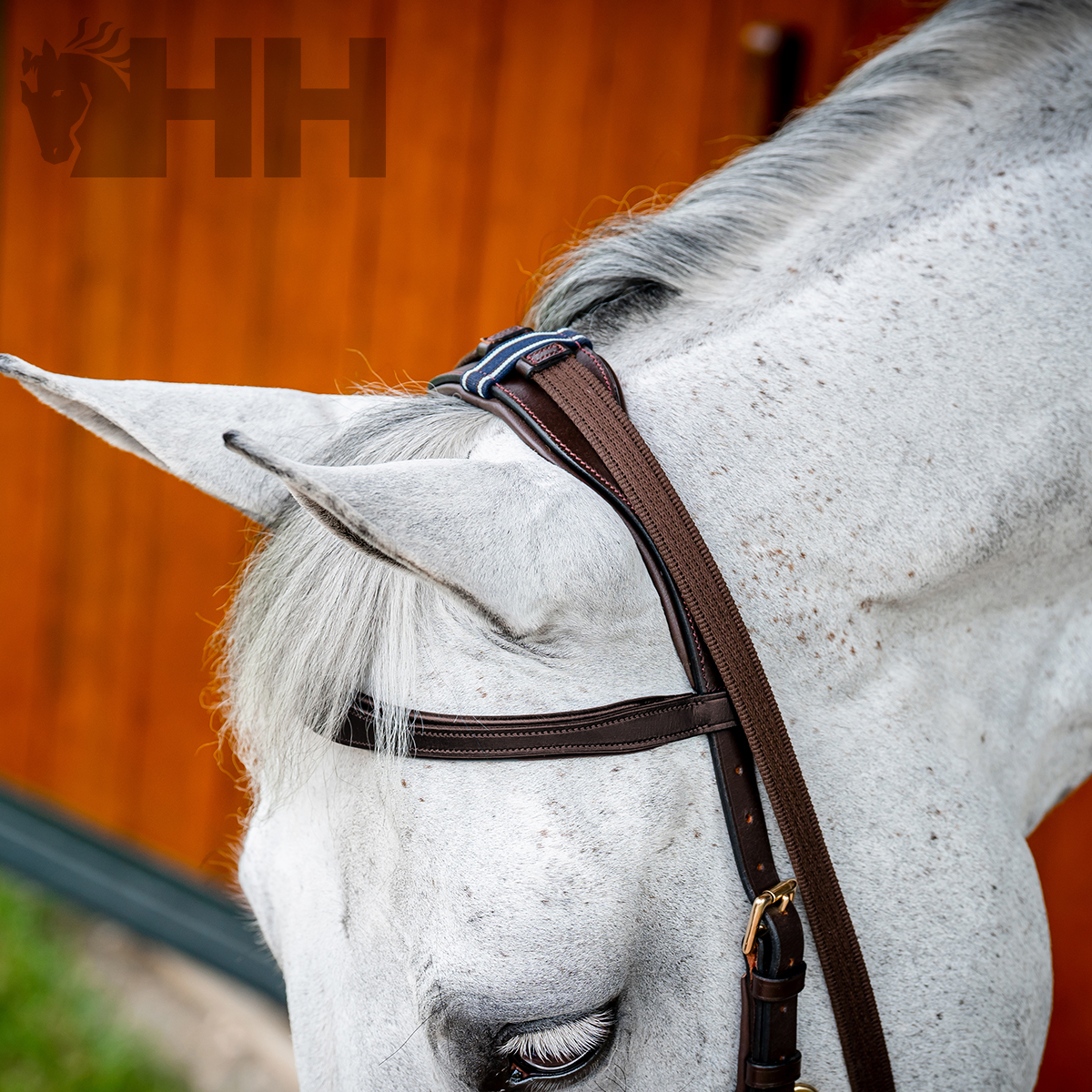 CABEZADA INGLESA HORSEWARE MICKLEM 2 MULTIBRIDLE (SIN RIENDAS) - Imagen 4