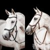 CABEZADA INGLESA HORSEWARE MICKLEM 2 COMPETITION BRIDLE (SIN RIENDAS)