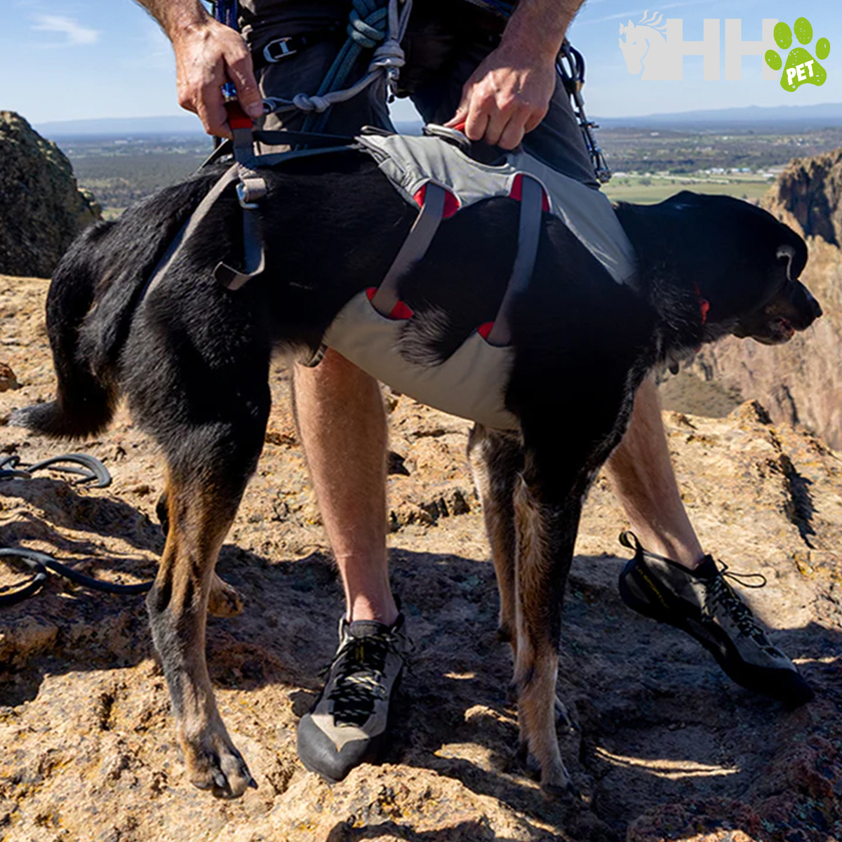 ARNES DE CUERPO ENTERO RUFFWEAR PARA PERROS DOUBLEBACK - Imagen 6