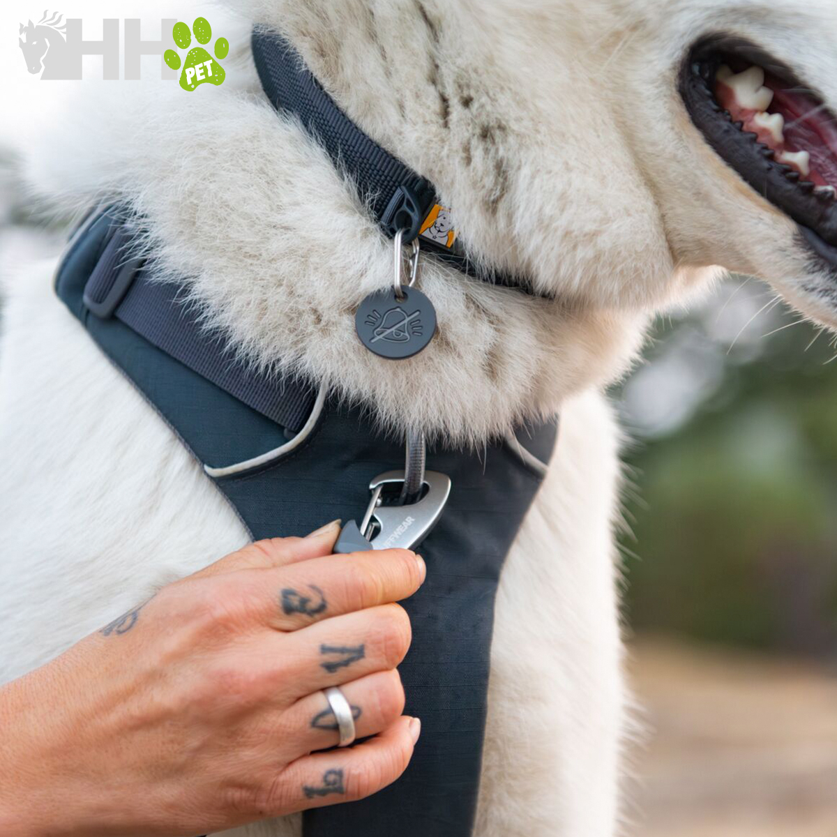 ARNES RUFFWEAR PARA PERROS FRONT RANGE - Imagen 7
