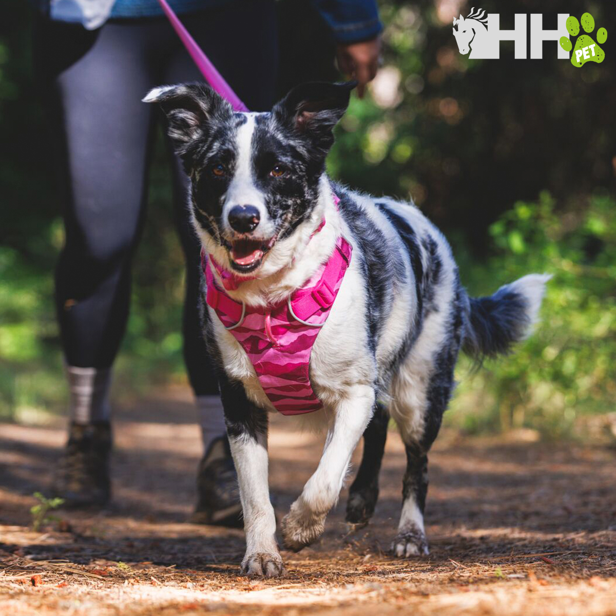 ARNES RUFFWEAR PARA PERROS FRONT RANGE - Imagen 2
