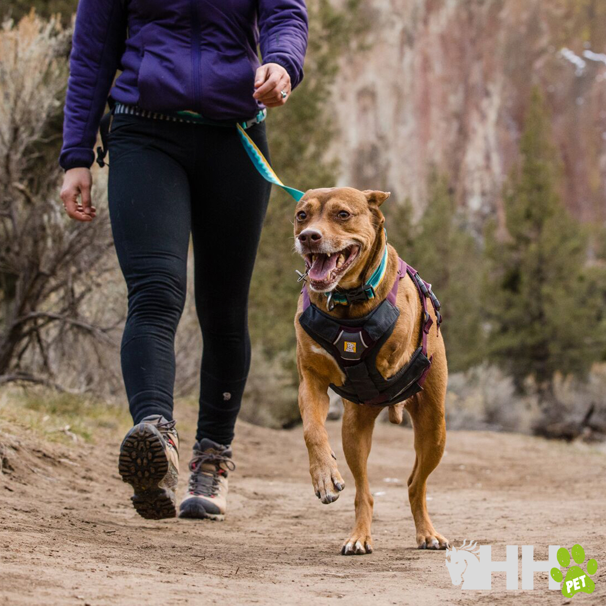 ARNES CON ASA RUFFWEAR PARA PERROS WEB MASTER - Imagen 7