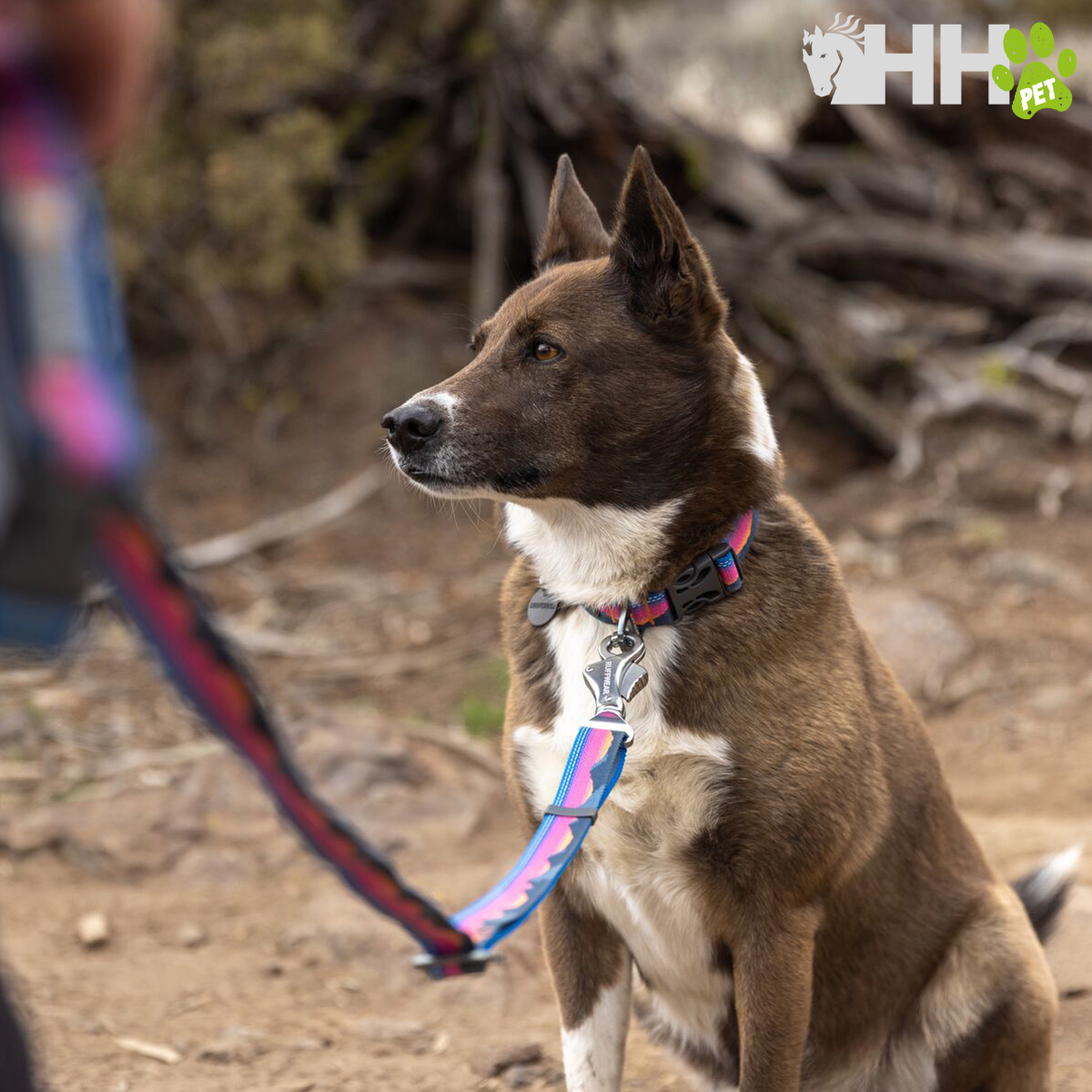 CORREA AJUSTABLE RUFFWEAR PARA PERROS CRAG EX - Imagen 6