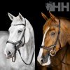 CABEZADA INGLESA HORSEWARE MICKLEM COMPETITION BRIDLE