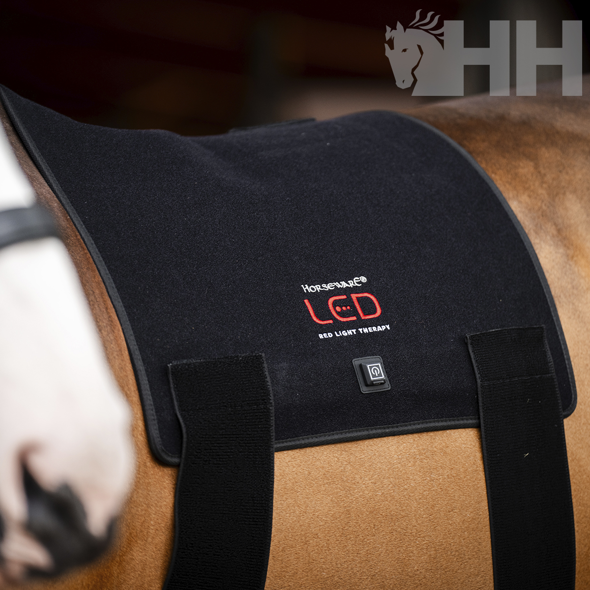 MANTILLA TERAPEUTICA HORSEWARE LED RED LIGHT - Imagen 5