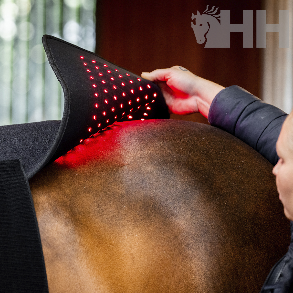 MANTILLA TERAPEUTICA HORSEWARE LED RED LIGHT - Imagen 6