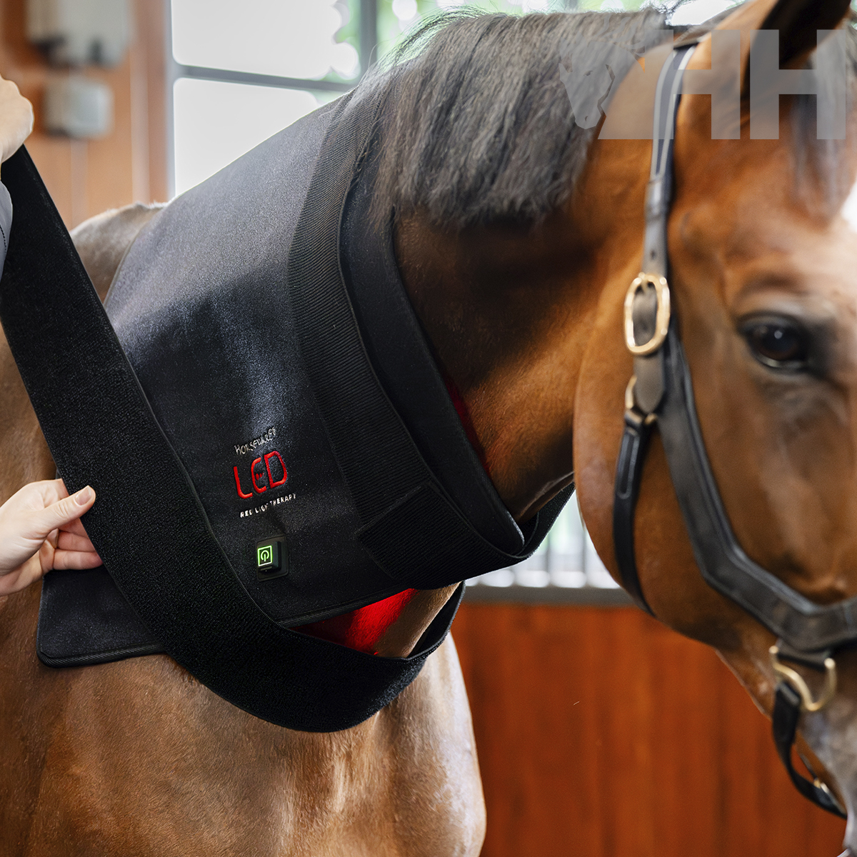 MANTILLA TERAPEUTICA HORSEWARE LED RED LIGHT - Imagen 2