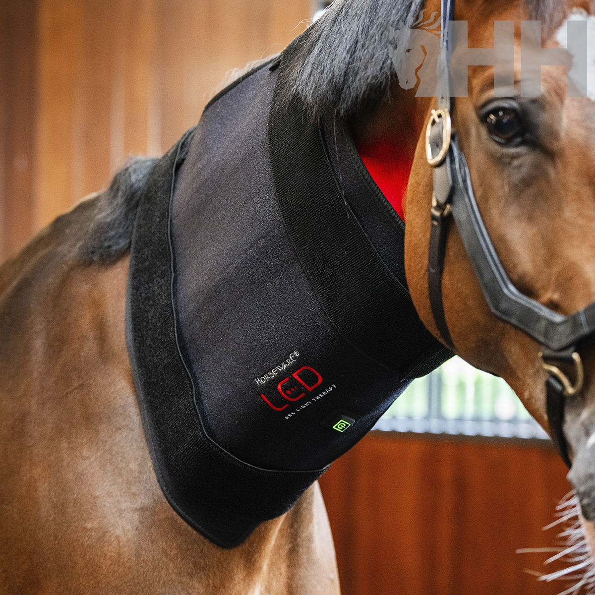MANTILLA TERAPEUTICA HORSEWARE LED RED LIGHT - Imagen 3