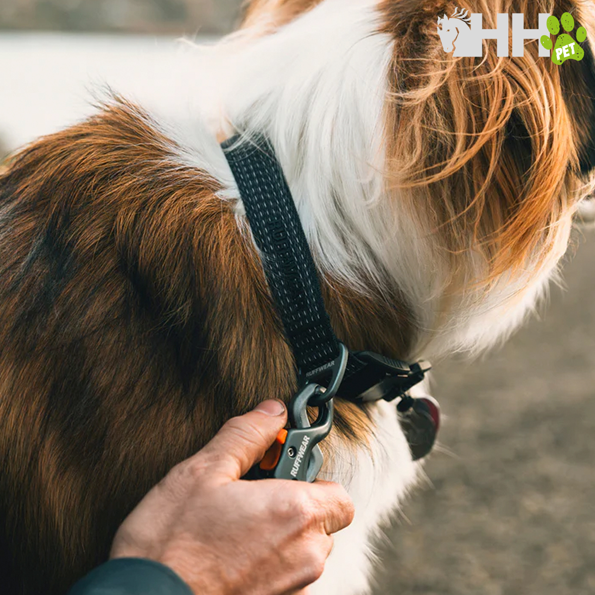COLLAR RUFFWEAR PARA PERROS RIDGELINE - Imagen 3